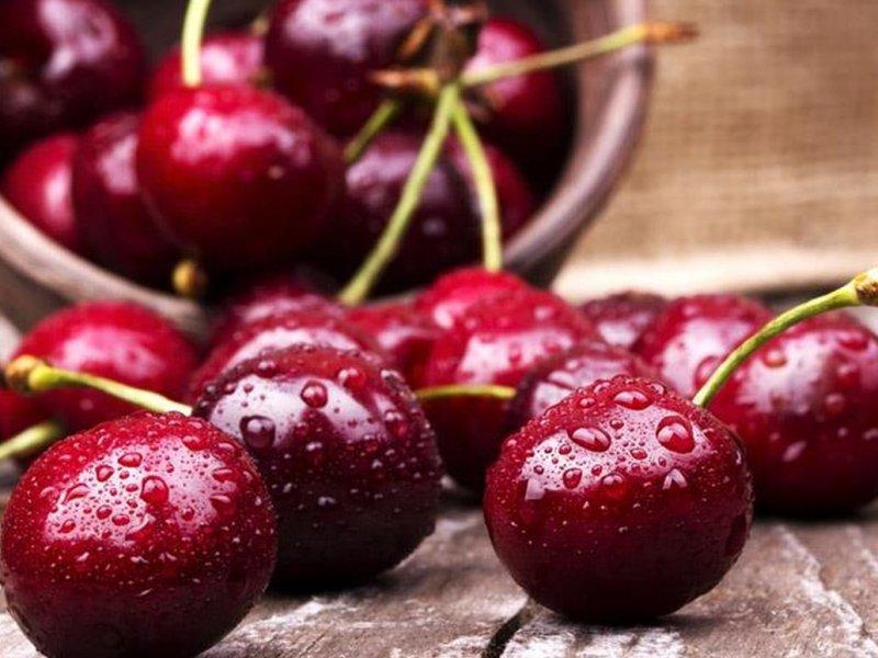 Вишня купить саженцы из питомника в Александрове